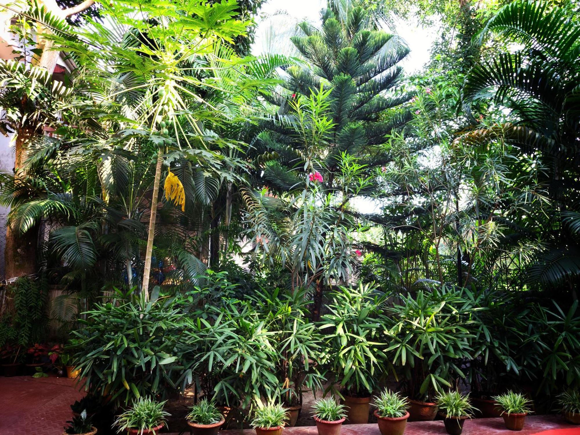 Chaiti Eco Homestay- Santiniketan โบลปูร์ ภายนอก รูปภาพ