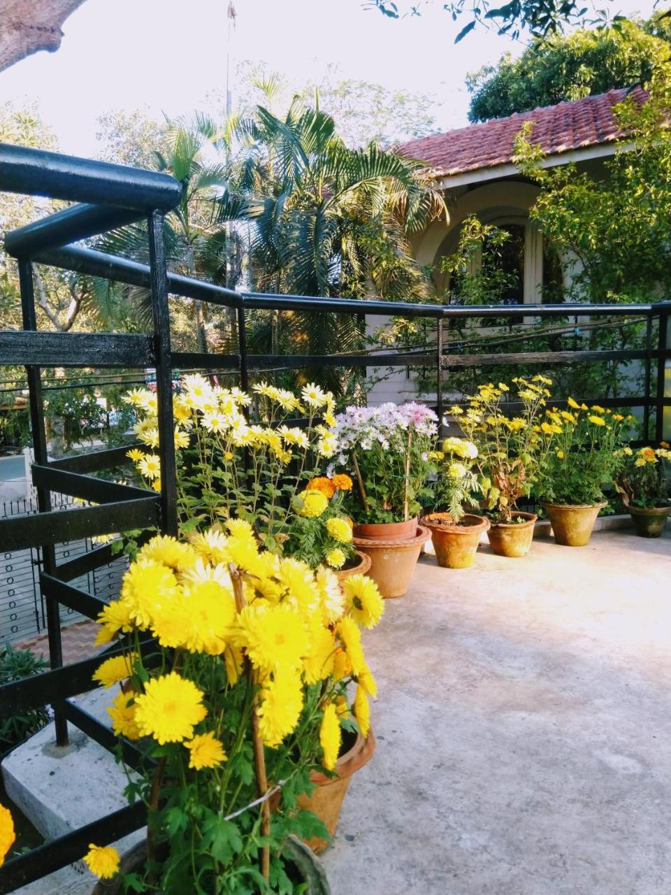 Chaiti Eco Homestay- Santiniketan โบลปูร์ ภายนอก รูปภาพ